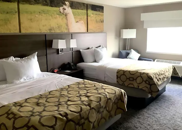 Hotel Clarion Pointe Near Mattoon